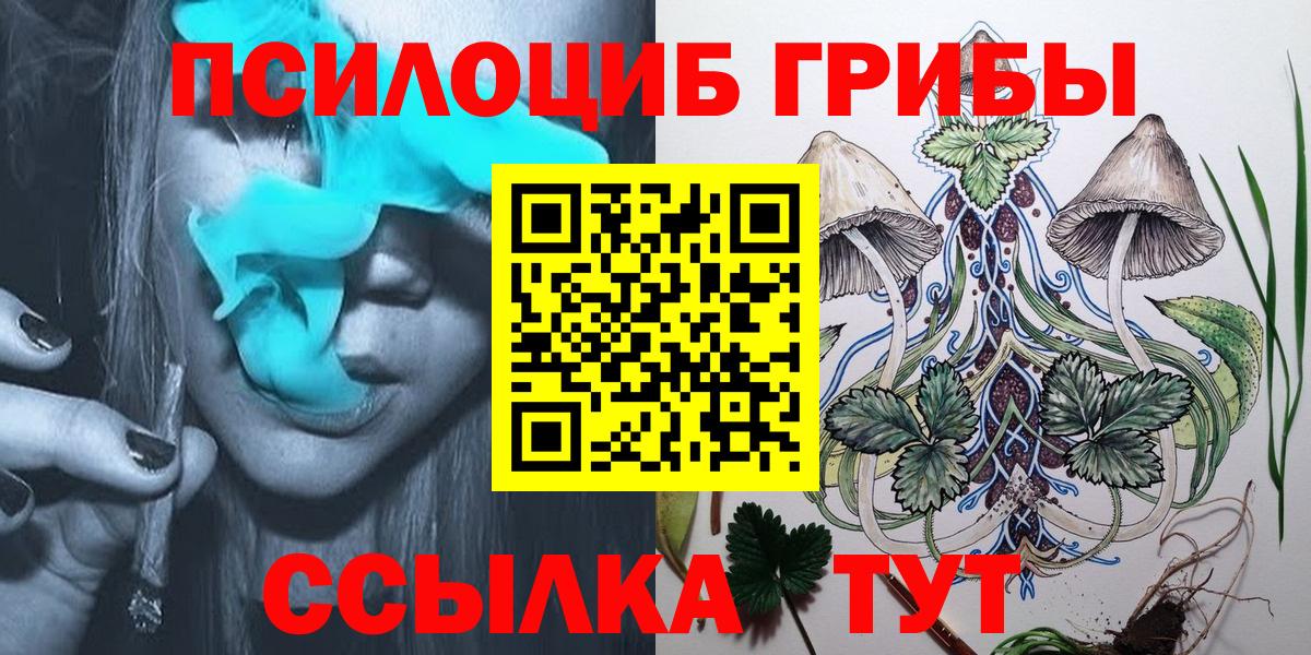 Галлюциногенные грибы мицелий  Вход с VPN  где купить   Россия 