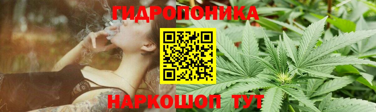 Марихуана сатива  Каннабис AK-47  Россия  Вход с VPN 